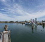 Bayside Beauty - Surfers Gold Coast
