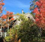 Cloudsong Chalet 4 Close to the village centre - Surfers Gold Coast