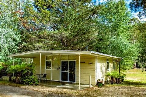 Russell Falls Holiday Cottages - Surfers Gold Coast 1