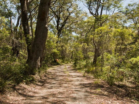 Riverbend 5 Acres Only 9km To Village - Surfers Gold Coast 3