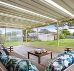 Sea Bird close to beach shops  cafes - Surfers Gold Coast