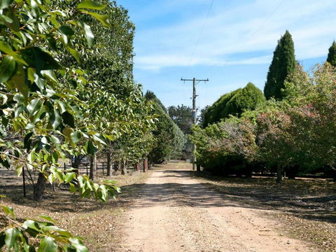 Warrington Park Bendooley Hill - Surfers Gold Coast 5