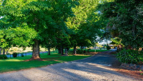 Dorrigo Mountain Holiday Park - Surfers Gold Coast 1