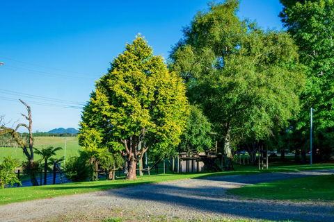 Dorrigo Mountain Holiday Park - Surfers Gold Coast 5