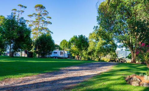Dorrigo Mountain Holiday Park - Surfers Gold Coast 3