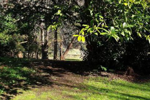 Redruth 2 Bedroom Cottage Situated In Wandiligong - Surfers Gold Coast 4