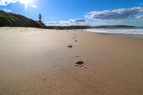 Surfers Paradise At Catherine Hill Bay - Surfers Gold Coast 2