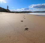 Surfers Paradise at Catherine Hill Bay - Surfers Gold Coast