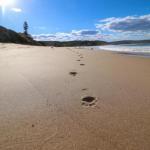 Surfers Paradise At Catherine Hill Bay - Surfers Gold Coast 0