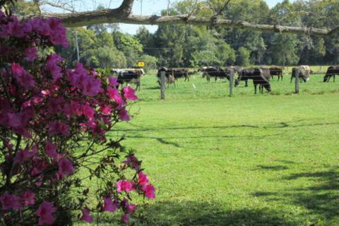 Greenfields - Surfers Gold Coast 2