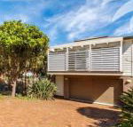 Banksia