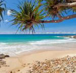 Coolum Classic Beach Shack Pet Friendly - Surfers Gold Coast
