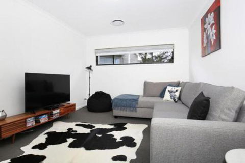 Rockwall Pet Friendly Fire Pit - Surfers Gold Coast 4