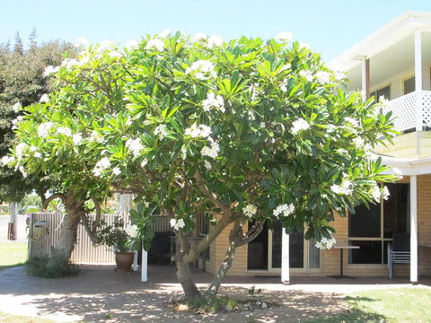 Kalbarri Riverfront Unit - Surfers Gold Coast 3