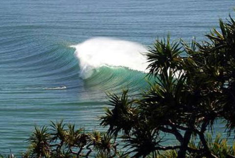 Cabarita Studio - Surfers Gold Coast 0