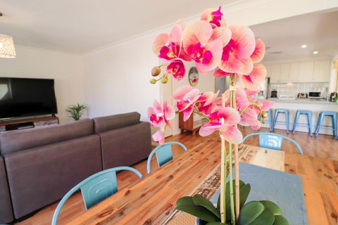 Lakelandia - Surfers Gold Coast 4