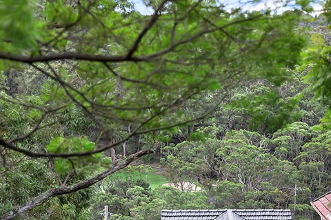 ALAN1 Leafy Tranquil Home - Surfers Gold Coast 3