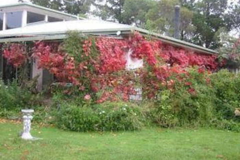 Castagni Bed & Breakfast - Surfers Gold Coast 2