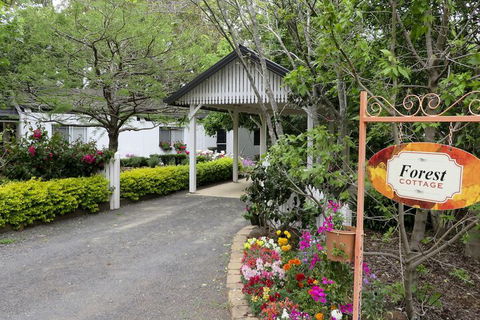 Homewood Cottages - Surfers Gold Coast 1