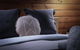 Kangaroo Valley Timber Cabin - thumb 4