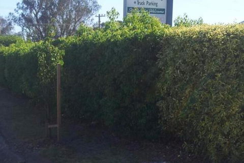 Glenndale Park Motel - Surfers Gold Coast 4
