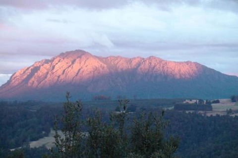 Wind Song Mountain Retreat - Surfers Gold Coast 3