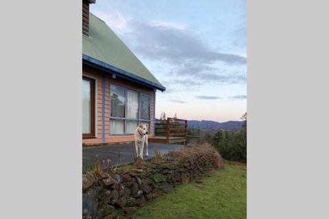 Wind Song Mountain Retreat - Surfers Gold Coast 2