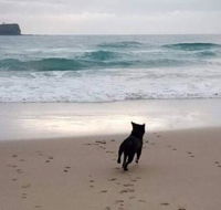 Breakers at Mudjimba Beach - Surfers Gold Coast