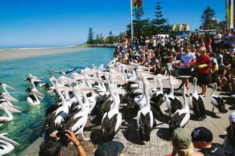 Beach & Ocean Front Penthouse With Wifi & Parking - Surfers Gold Coast 2