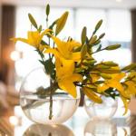 KUI Manhattan Apartments - Surfers Gold Coast 0