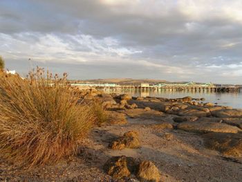 Port Lincoln Holiday Houses - Surfers Gold Coast 4