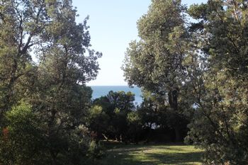 Uringah Rejuvenate Stays - Surfers Gold Coast 6