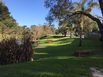 Albany Happy Days Caravan Park - Surfers Gold Coast 6