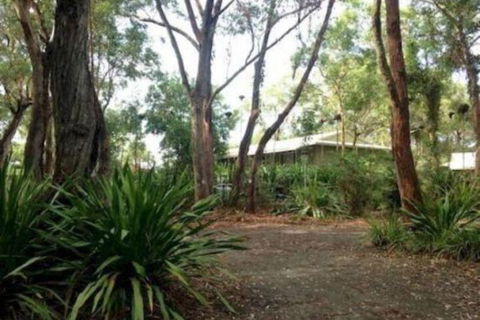 Port Stephens Koala Sanctuary - Surfers Gold Coast 2