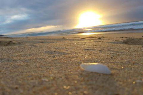 Eagles Loft - Surfers Gold Coast 6
