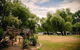 Mt Buffalo Caravan Park - thumb 1