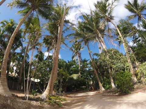 Cable Beach Backpackers - Hostel - Surfers Gold Coast 2