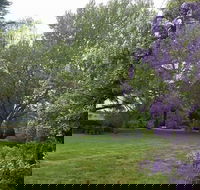 Petersons Armidale Winery  Guesthouse - Surfers Gold Coast