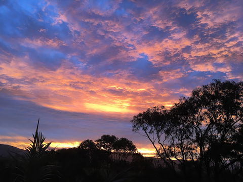 Bed & Breakfast At Kiama - Surfers Gold Coast 3