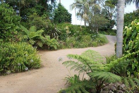 Bed & Breakfast At Kiama - Surfers Gold Coast 1