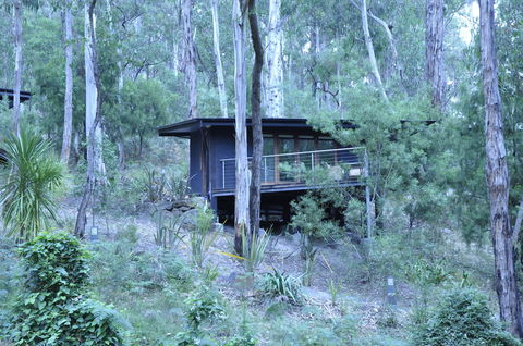 Qdos Arts - Surfers Gold Coast 6