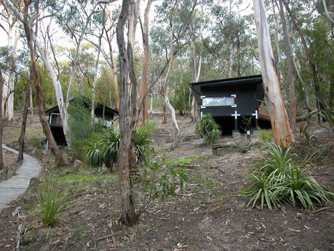 Qdos Arts - Surfers Gold Coast 2