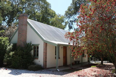 Tanunda Cottages - Surfers Gold Coast 5