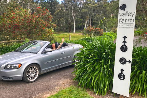 Valley Farm Vineyard Cottages - Surfers Gold Coast 0