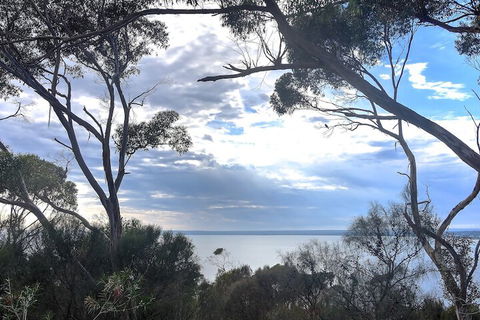 Wanderers Rest Of Kangaroo Island - Surfers Gold Coast 7