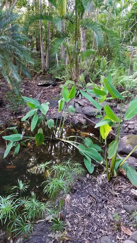 Hunchy Hideaway - Surfers Gold Coast 1