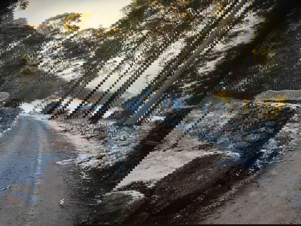 Claude Road TAS Surfers Gold Coast