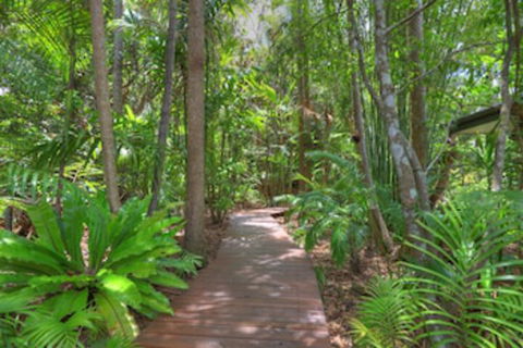Montville Grove - Surfers Gold Coast 0