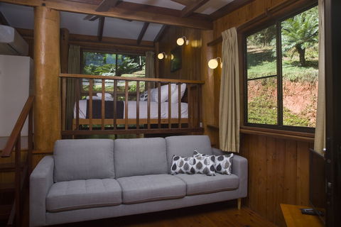Milkwood Lodge - Surfers Gold Coast 5