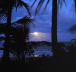 Sejala Beach Huts - Surfers Gold Coast